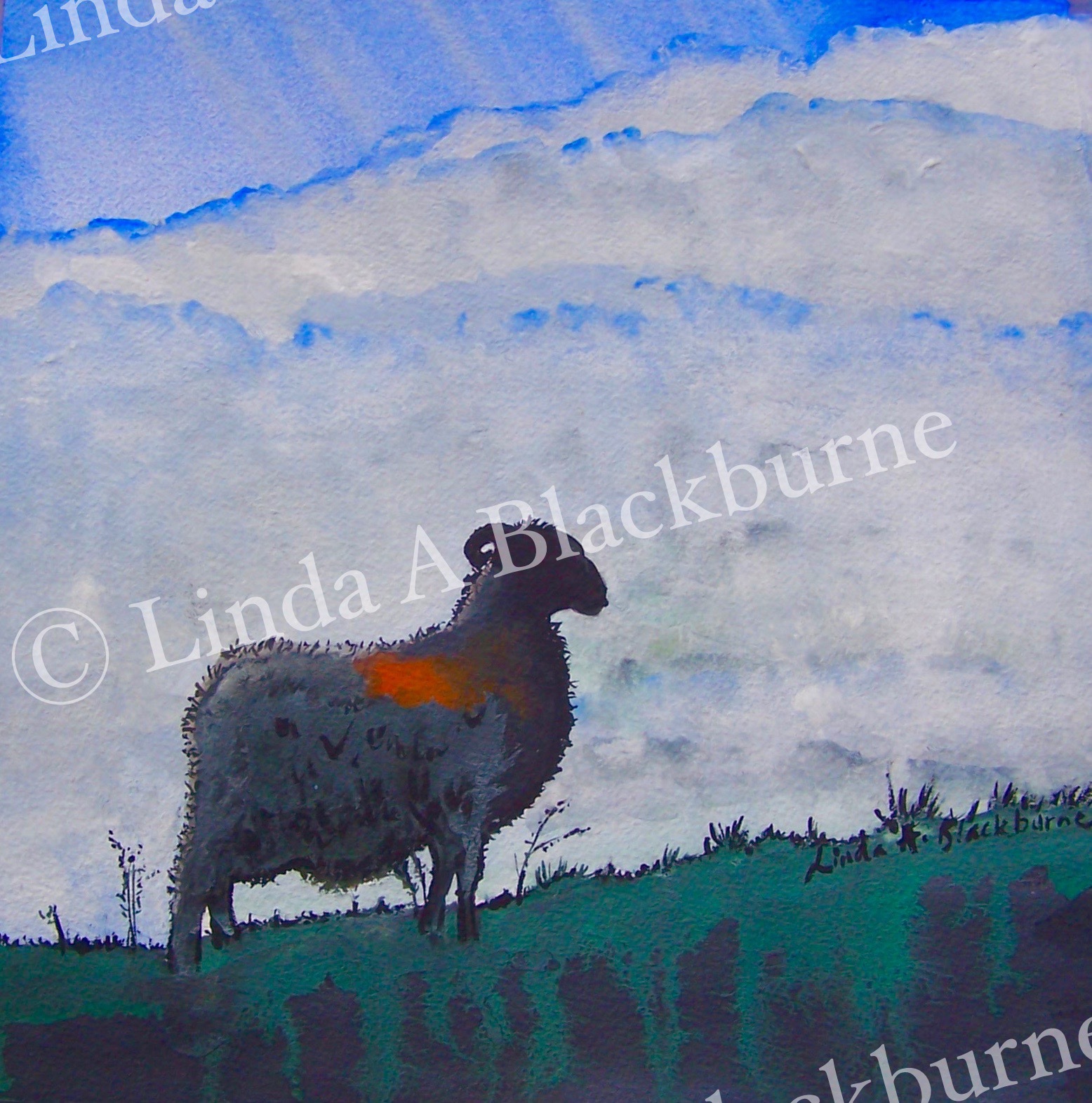 Sheep at Twilight, Spaunton Moor